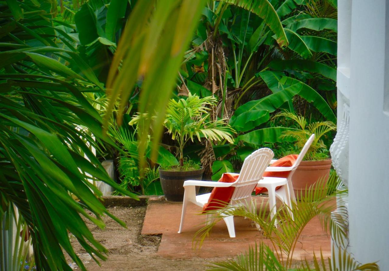 Annie'S White House On The Hill Apartment Negril Exterior photo